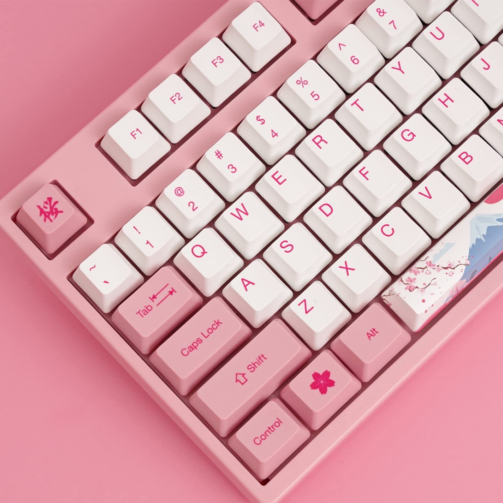 Akko 3087 V2 World Tour-Tokyo Mechanical Gaming Keyboard Wired TKL 87-Key with OEM Profile PBT Dye-Sub Keycaps N-key Rollover. 