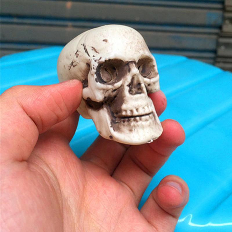 Halloween  Artificial Skull Head Model Skull Bone Scary Horror Skeleton Ornament. 