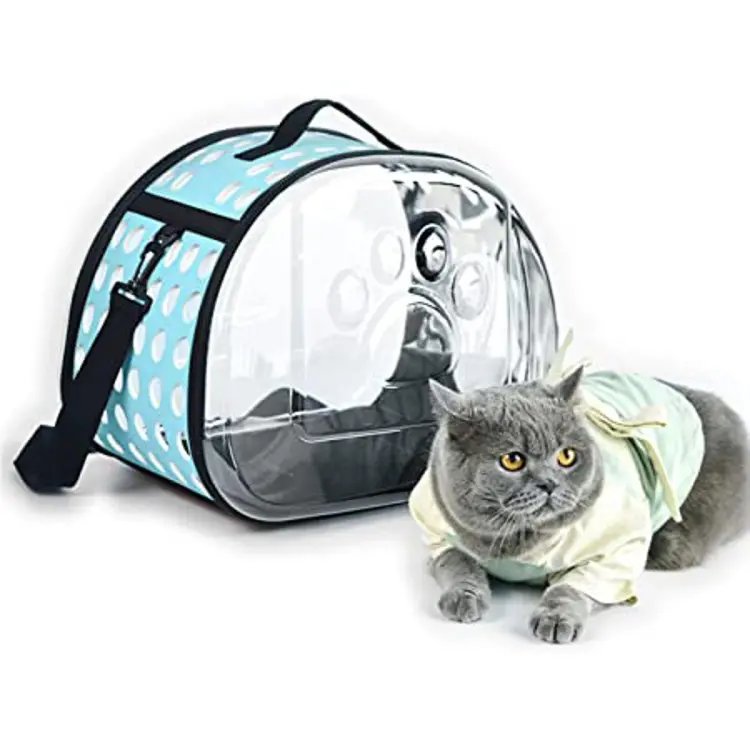 Transparent sales pet carrier