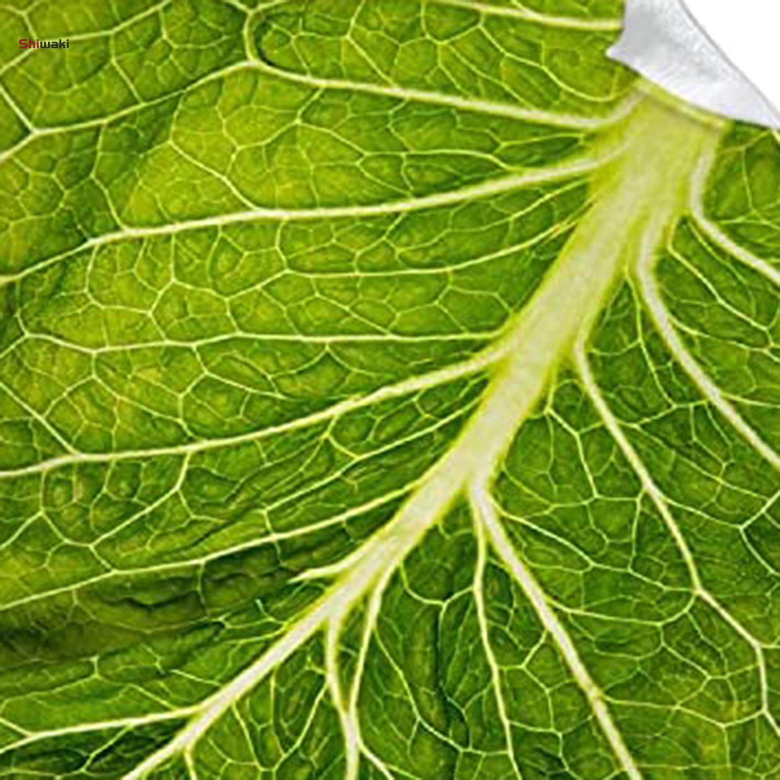 Lettuce Leaf Flannel Fleece Blanket Microfiber Lightweight Throw for Soft 100x150cm. 