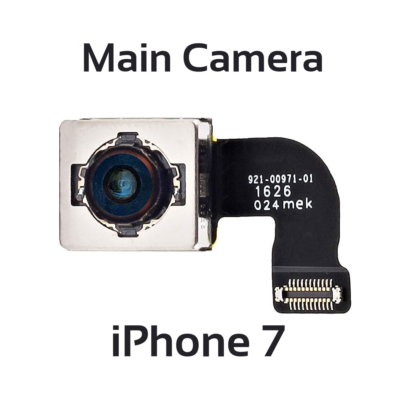 Main Back Camera Module For iPhone 7 , iPhone 7 Plus Original Fresh. 