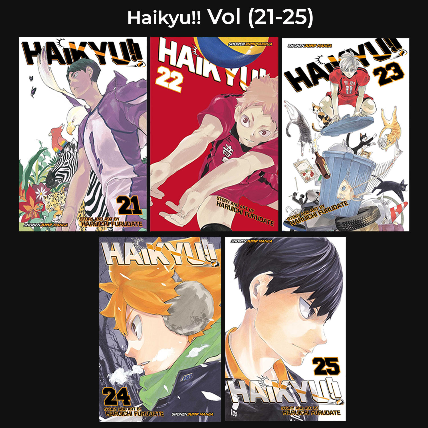 Haikyu!! Volume (21-25) Paperback Manga Set | MH Shop