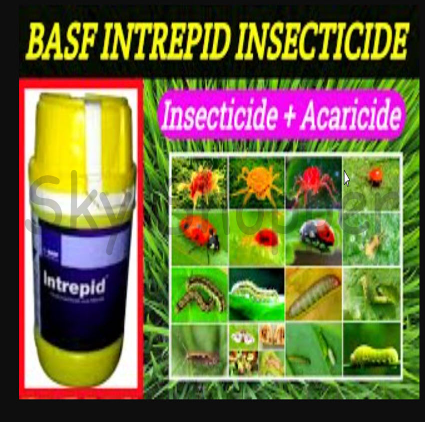 Intrepid Insecticide Chlorfenapyr 10% Sc. 100 ML Repack for better result for your plant.. 