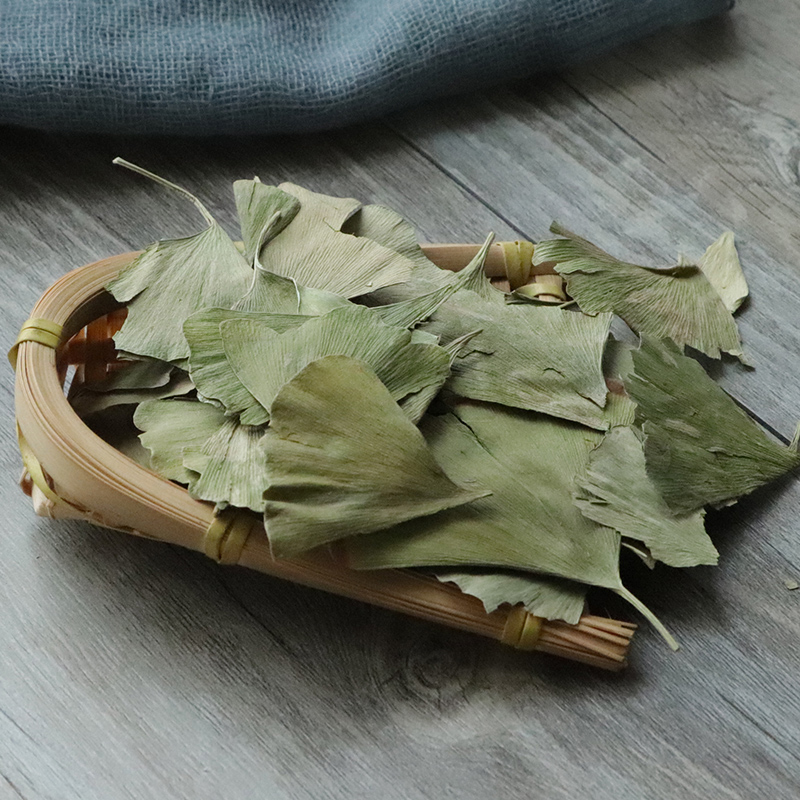 【iLoveyouso Store】Natural Dried Ginkgo Biloba Leaves Tea Chinese Ginkgo Herbal Green Leaves Gift Decoration. 