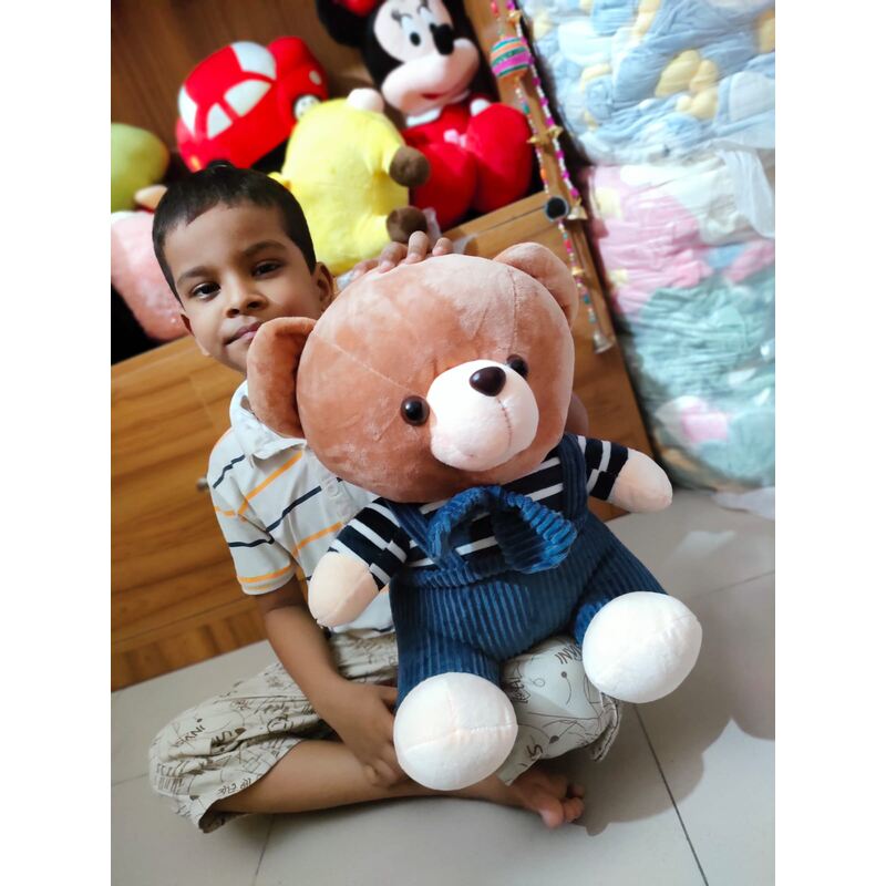 Cute Deddy Teddy Bear Plush Stuffed toy Animals Bear Dolls