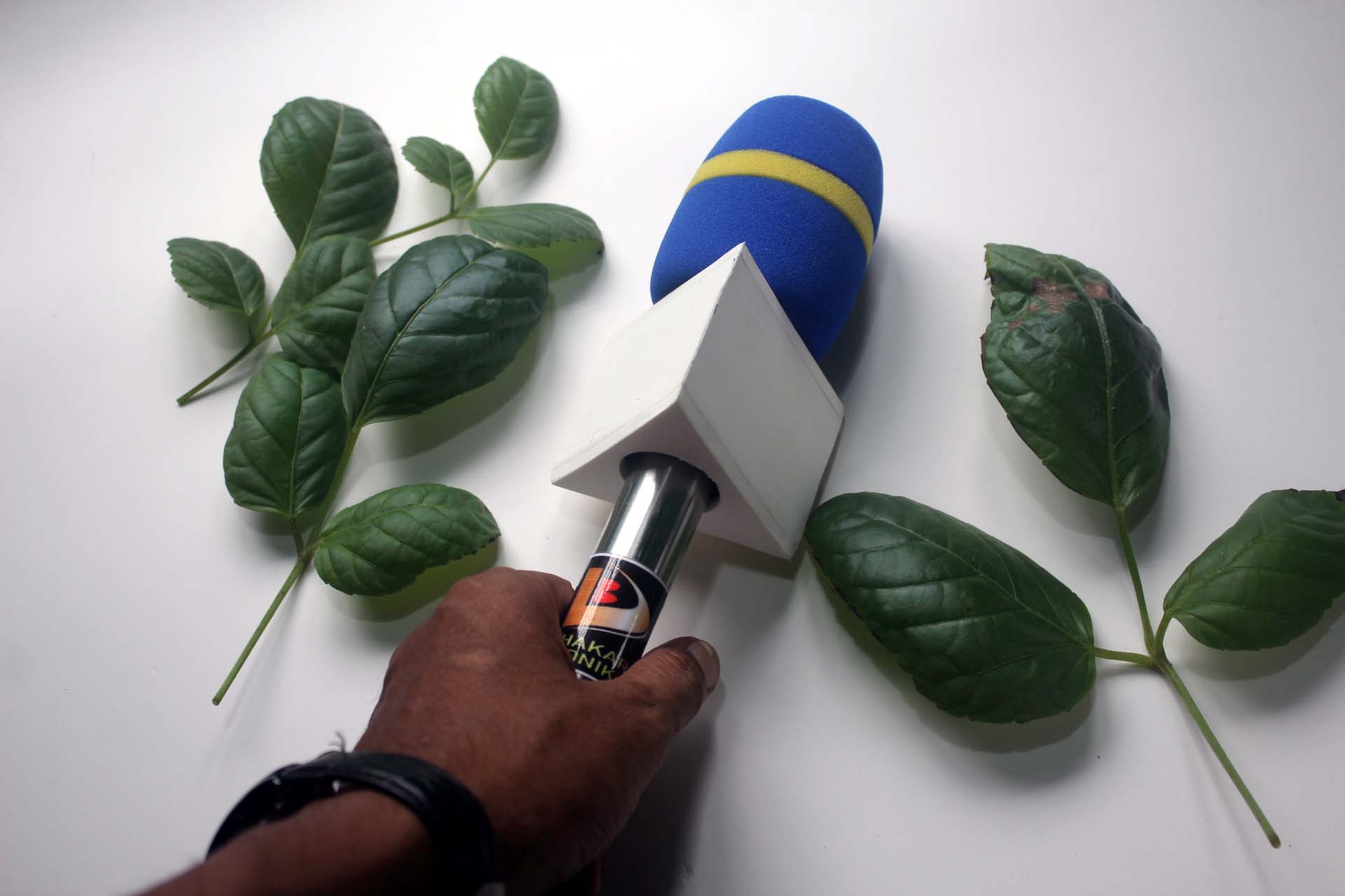 Journalist Microphone for Mobile with Chaina Foam. 