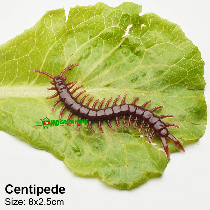10 pcs x Mixed Simulation Insect Toy Plastic Ant Centipede scorpion Fly Spider Prank Funny Toys. 