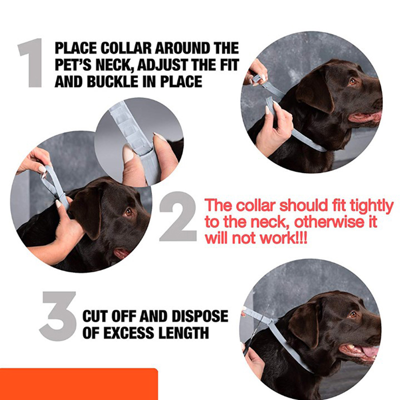 Adjustable Pet Anti Flea Tick Neck Collar for Dog Cat Kitten 8 Months Protection
