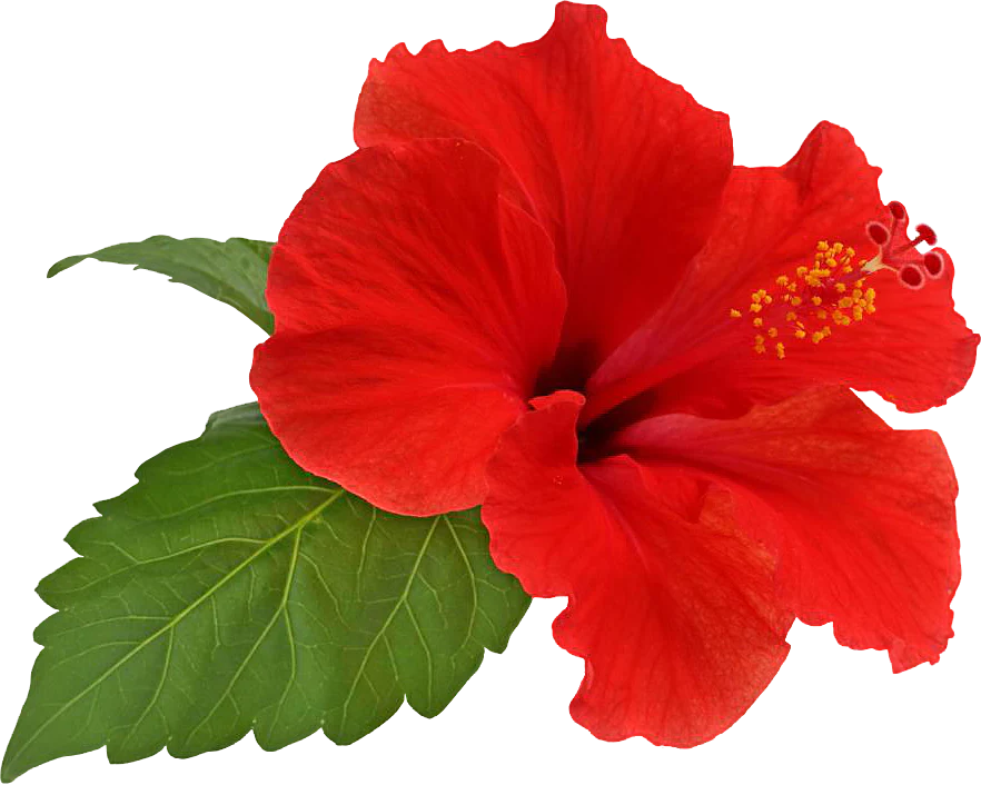 668d333b568903d4cdae325156971172.png