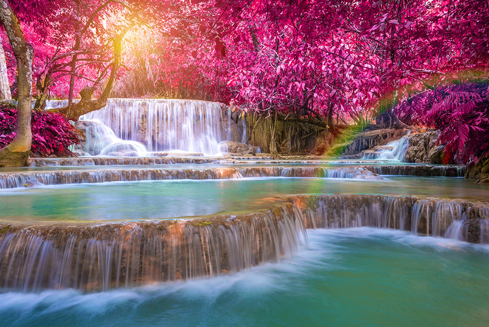 CNVS-344 72″ inch x 36″ inch   Forest Waterfall Wall Canvas Art Prints. 