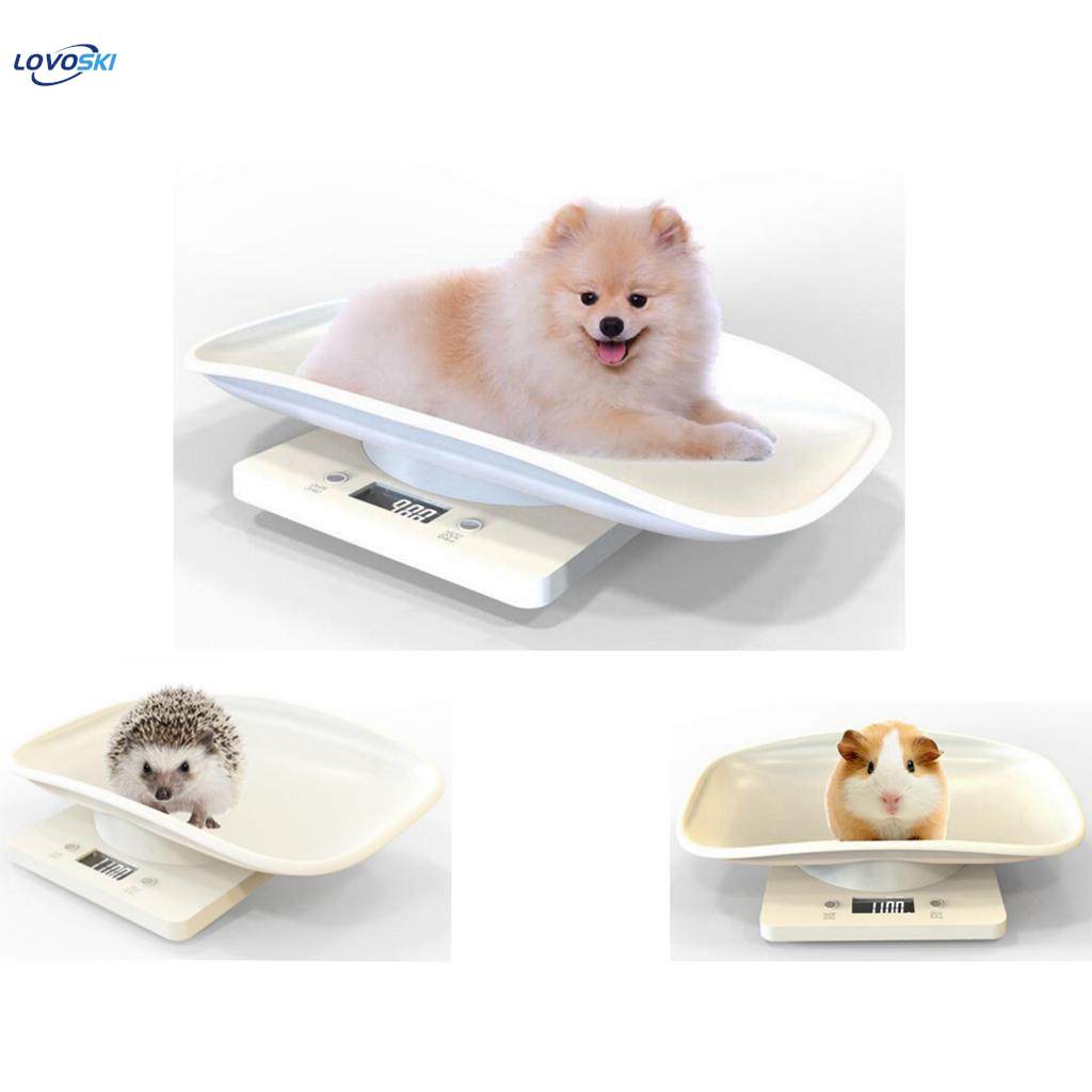 Measure Scale Cat Weight. 