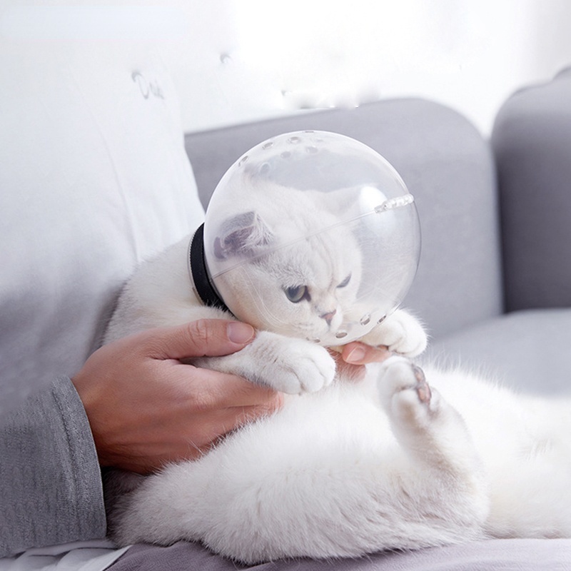 Cat Mouth Anti-bite Breathable Beauty Mask Mouth Mouth Bathing Beauty Travel Tool Cat Grooming Supplies.