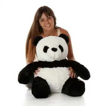 panda teddy online