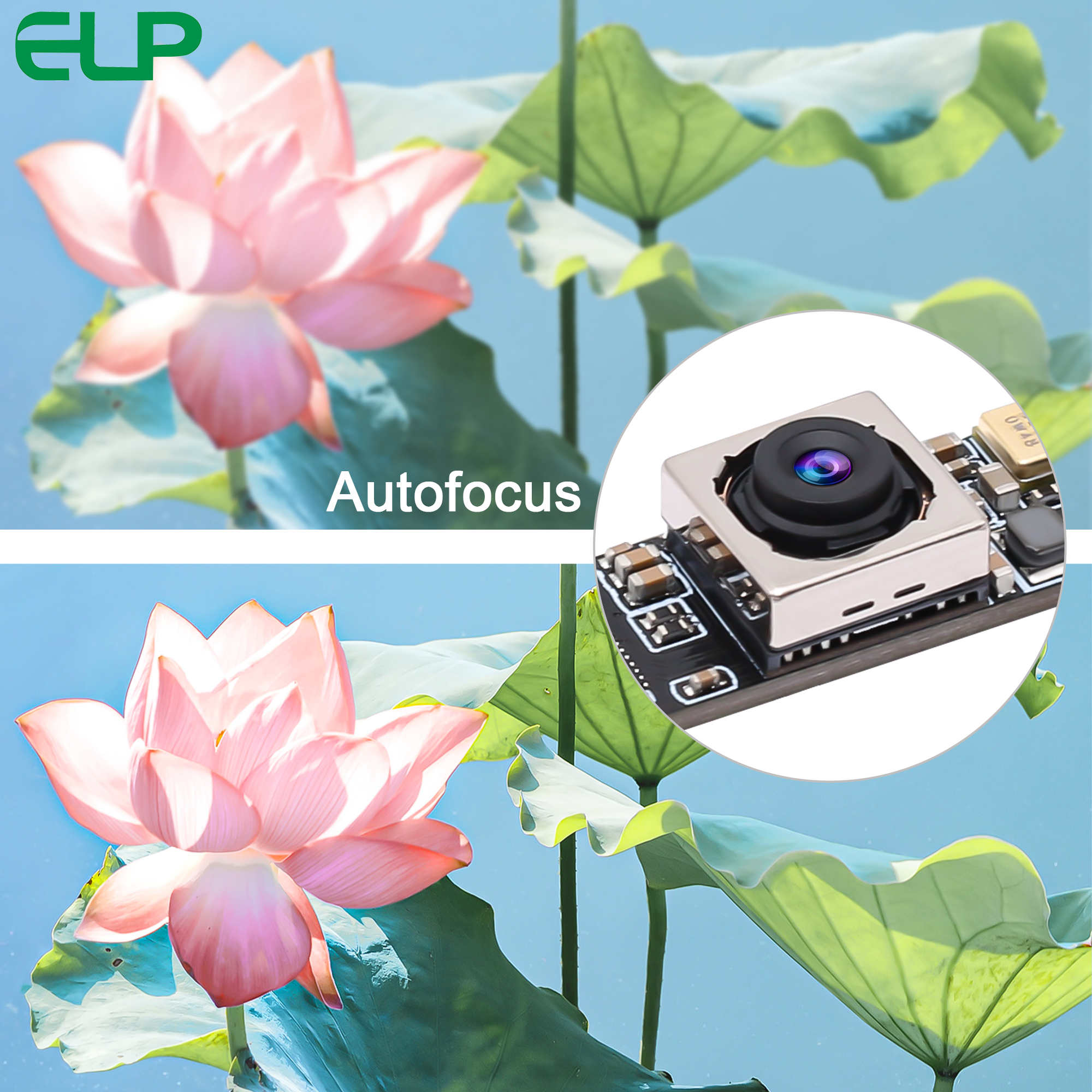 ELP 16MP Autofocus USB Camera Module with Mic No Distortion Lens Ultra HD Webcam Super Mini Audio Video Camera with 68 Degree. 