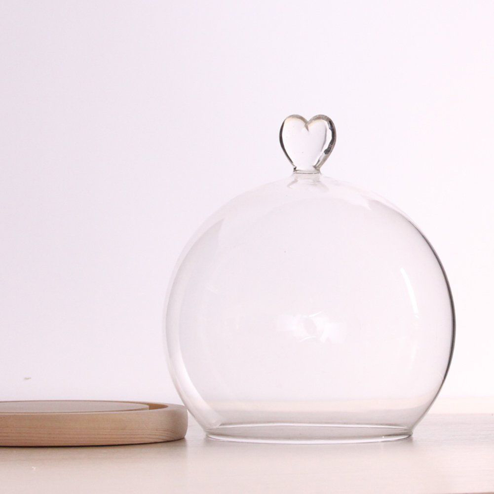 Glass Globe Display Dome Cover with Wood Base art Shape Handle e Decoration. 