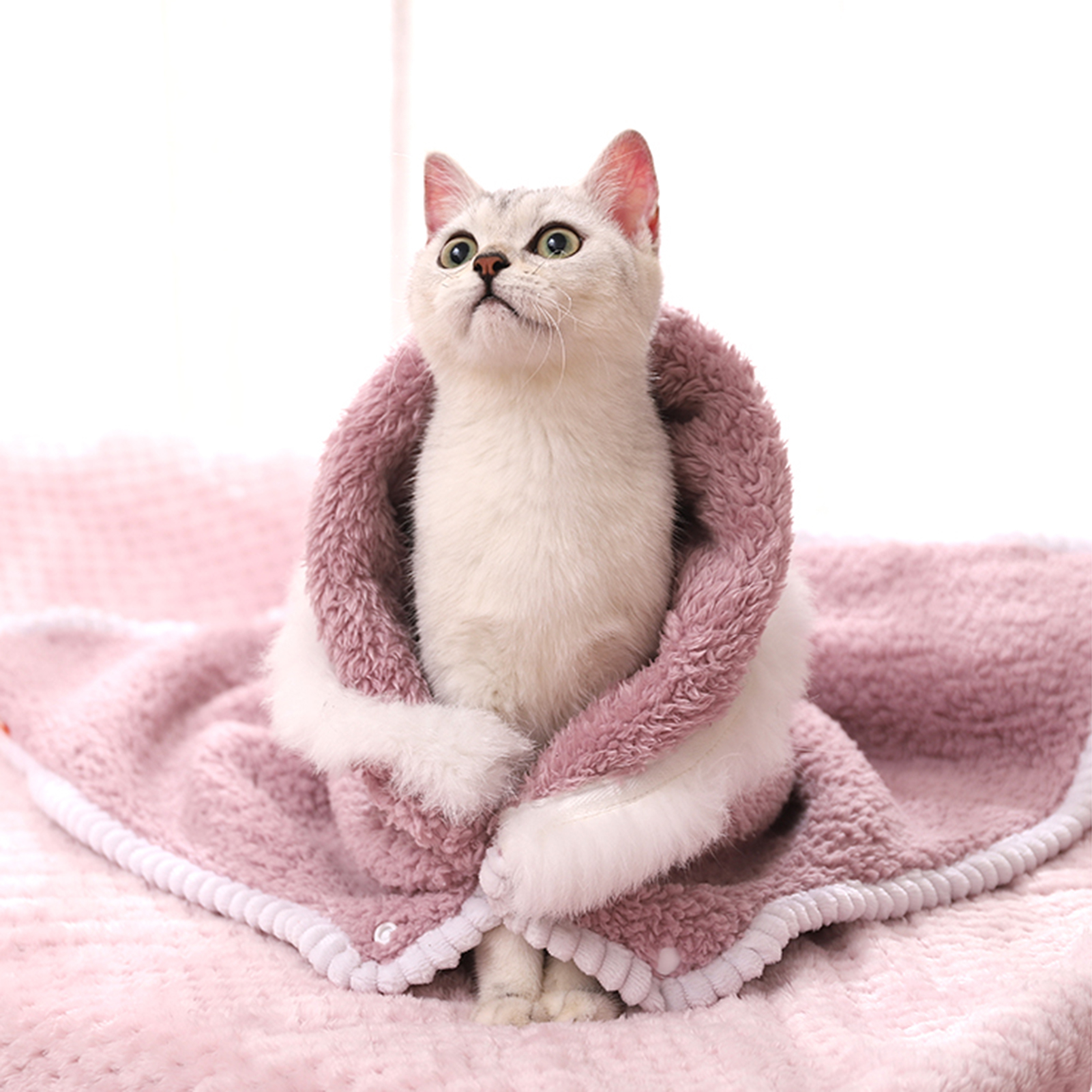 Cat Sleeping Cushion Solid Color Kitten Puppy Bed Mattress Blanket. 
