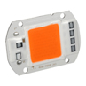 50W Full Spectrum LED COB Chip Grow Light Growth Lamp Garden Hydroponic. 