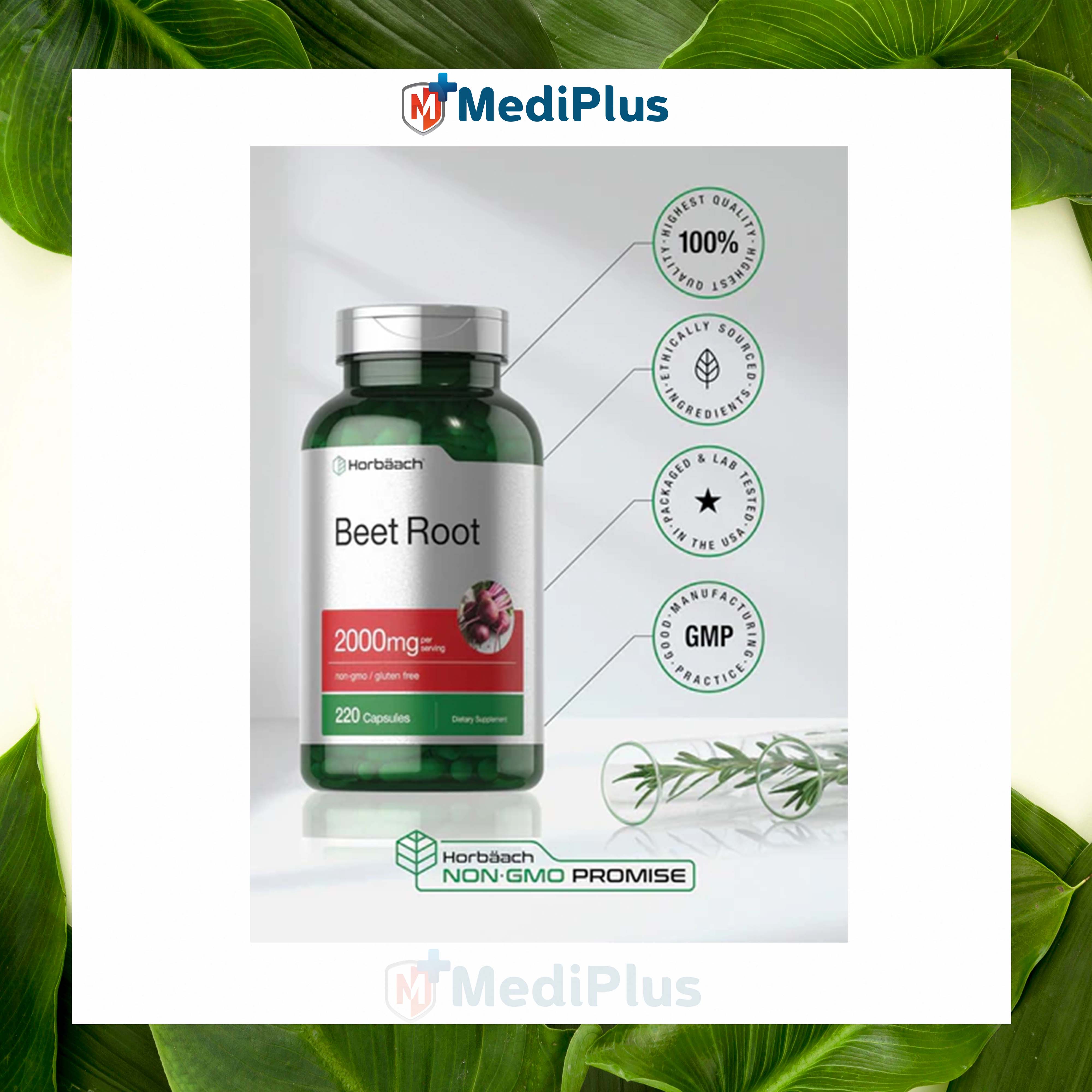 Horbäach Beet Root Powder Capsules | 220 Pills | Herbal Extract | Non-GMO, Gluten Free Supplement. 