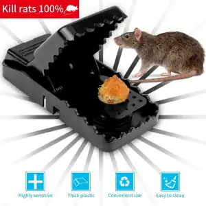 1/2PCS Mouse Trap Catch and Release Mouse Mice No Kill for Best  Indoor/Outdoor Mousetrap Catcher Non Killer Small Capture Cage - AliExpress