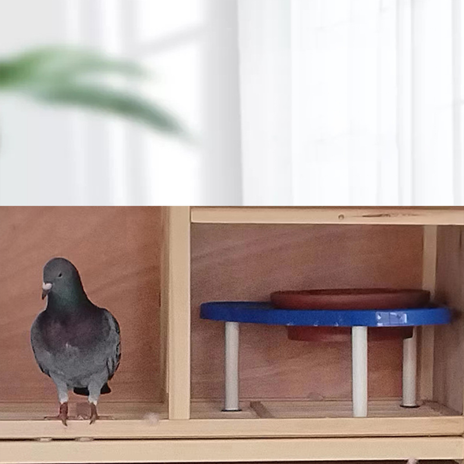 GC Pigeon Nesting Bowls, Pigeon Nest Rack With Smooth Bottom, Light Weight Portable Pet Nest Support Holder, Wear Resistant And Practical Bracket. 