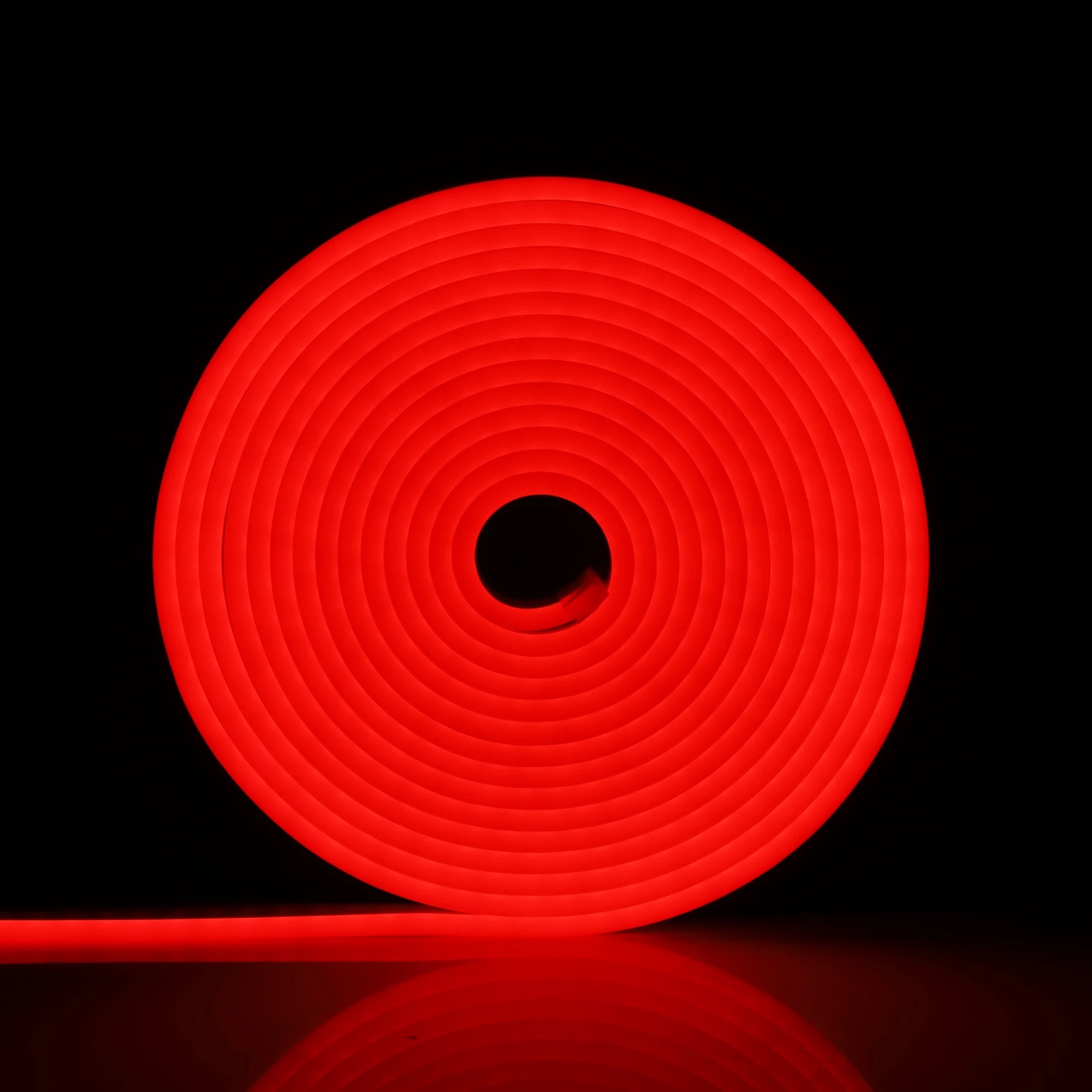 5M LED Flexible Silicone Neon Light Strip Set 5050 Low Voltage 12V 6*12 Shape Embedded Linear Flexible Light Strip - strip light. 