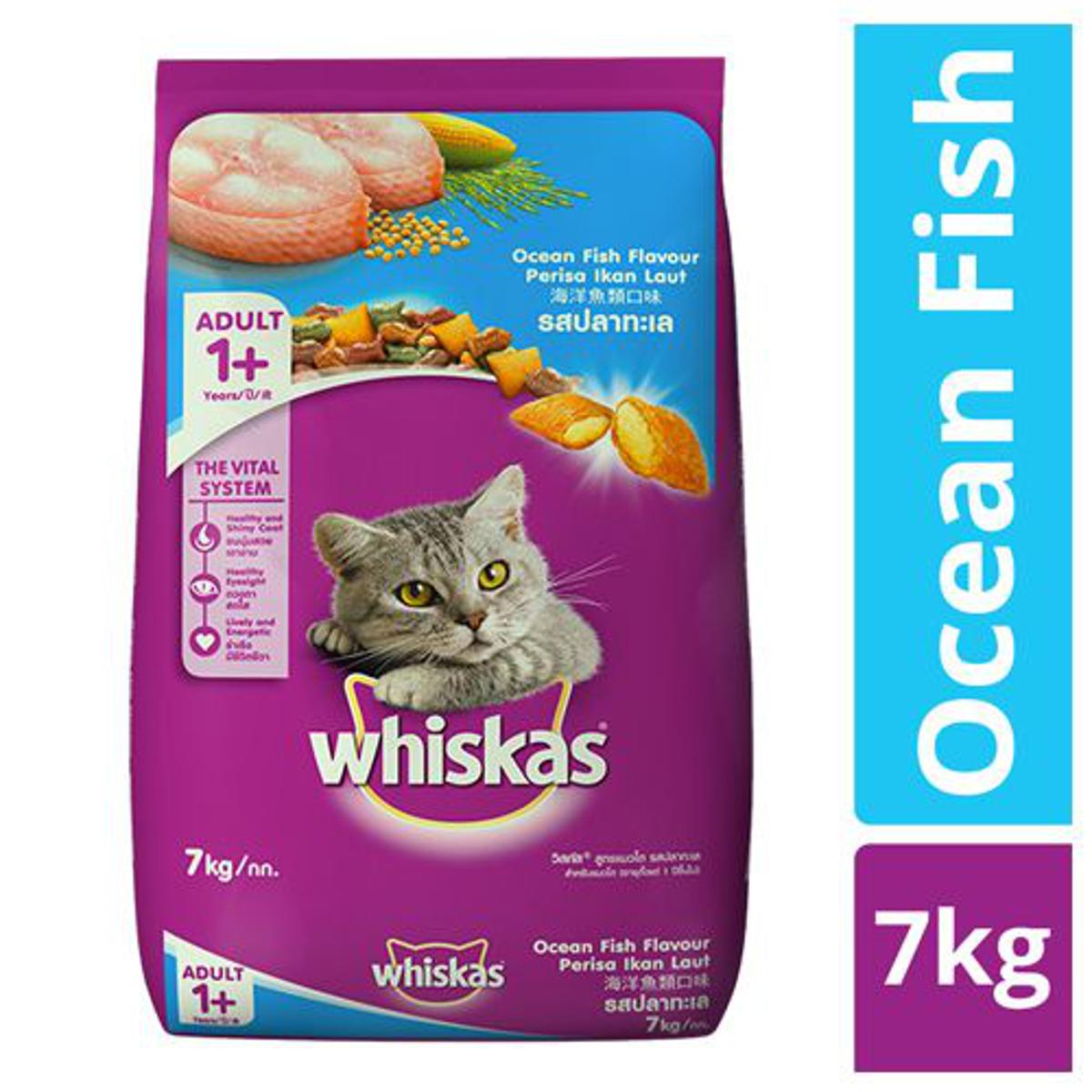 Maxi persian 2024 cat food