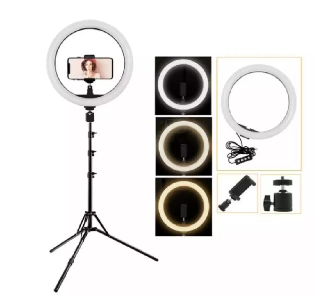 12" Ring Light with Boom Arm, LED Circle Light Desk Tripod Stand with Wireless Remote Control for TikTok/Makeup/Vlog/Streaming Online/Meeting. 