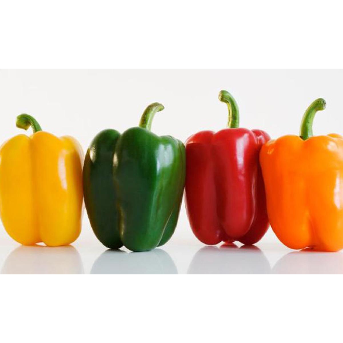 Capcicum Green/Red Mix Seed  (Intact 2 Packet)
