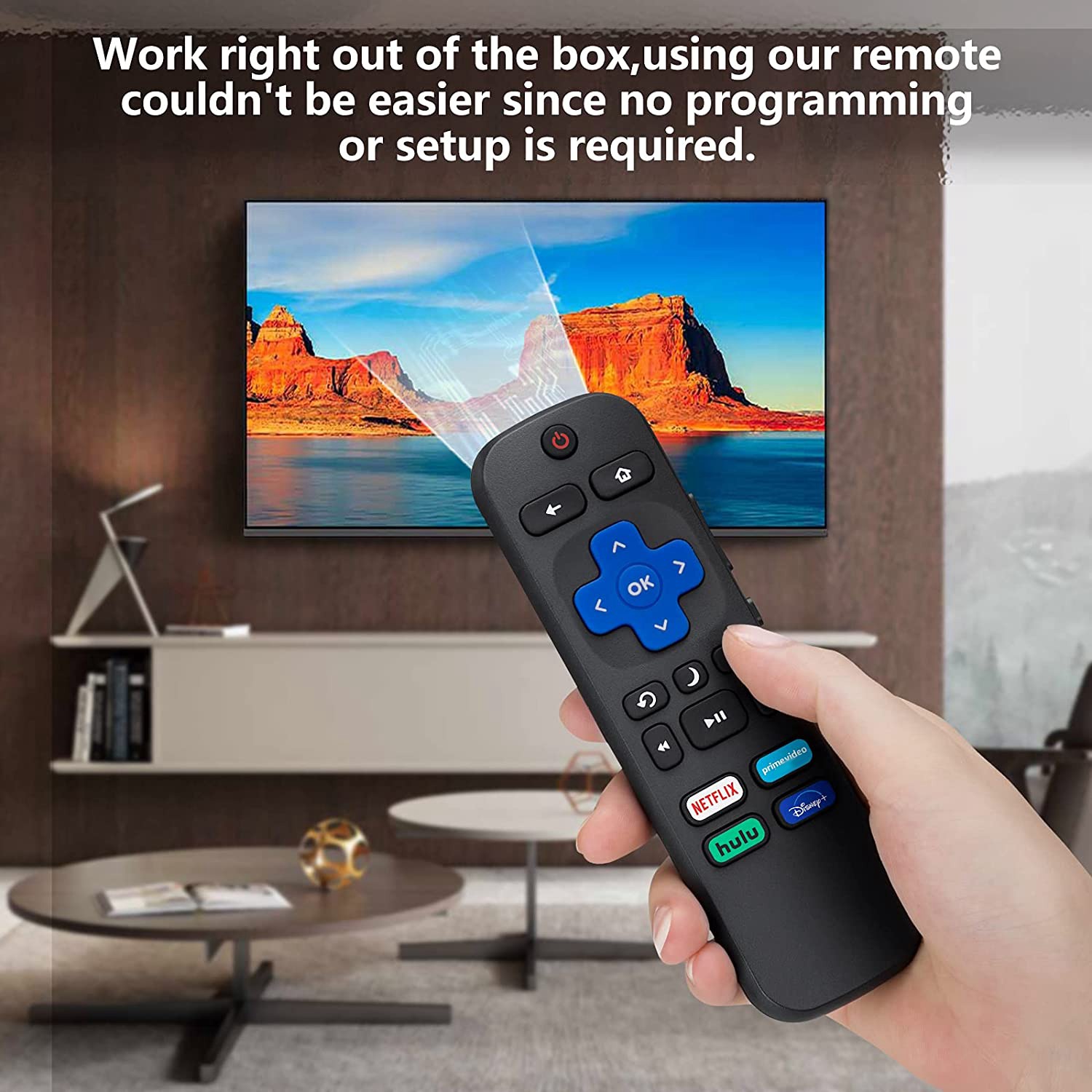 Universal TV Remote Replacement for Roku TV for TCL Roku/Hisense Roku for Sharp Roku TV,TV Remote with Netflix/Hulu. 
