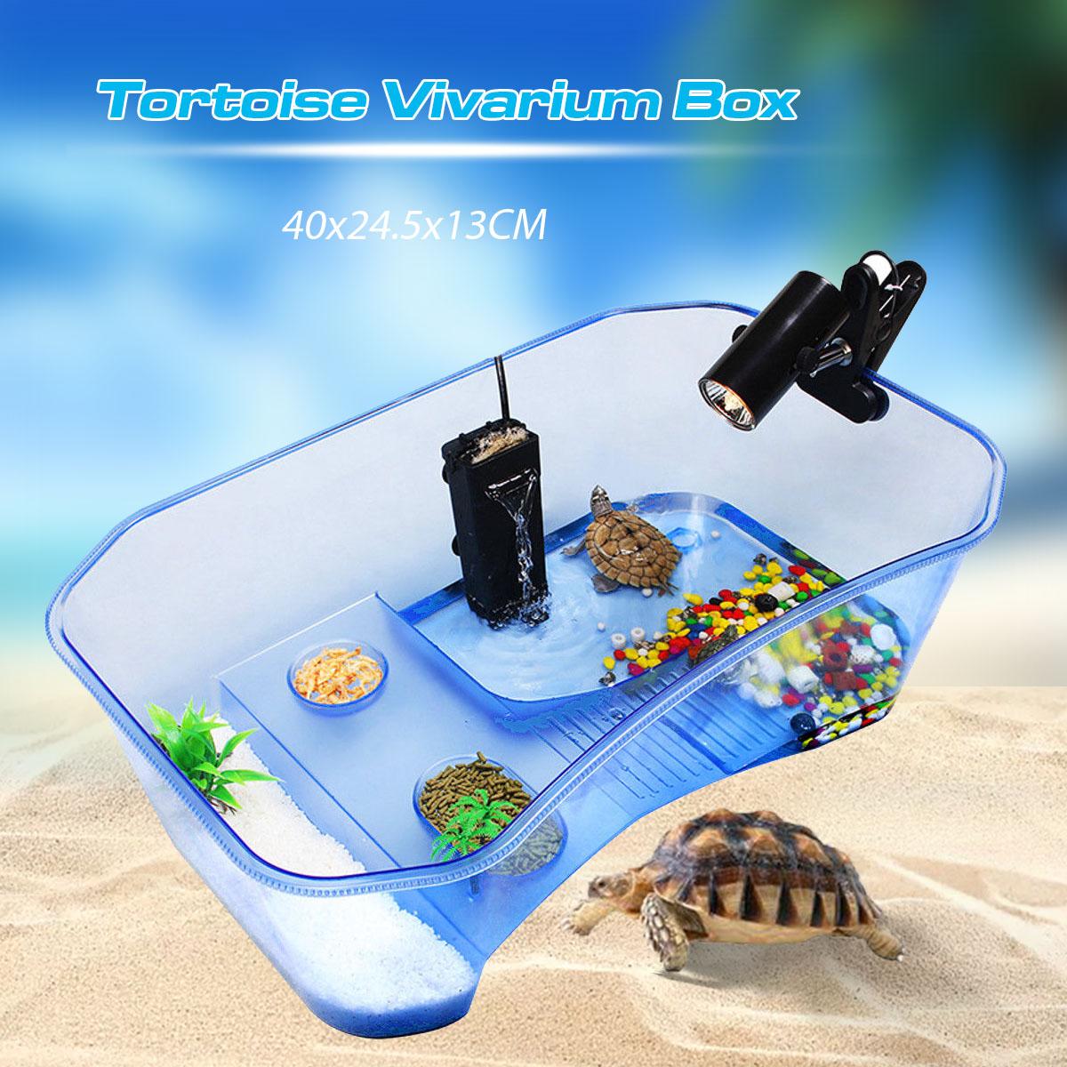 Tortoise In Tank ubicaciondepersonas.cdmx.gob.mx