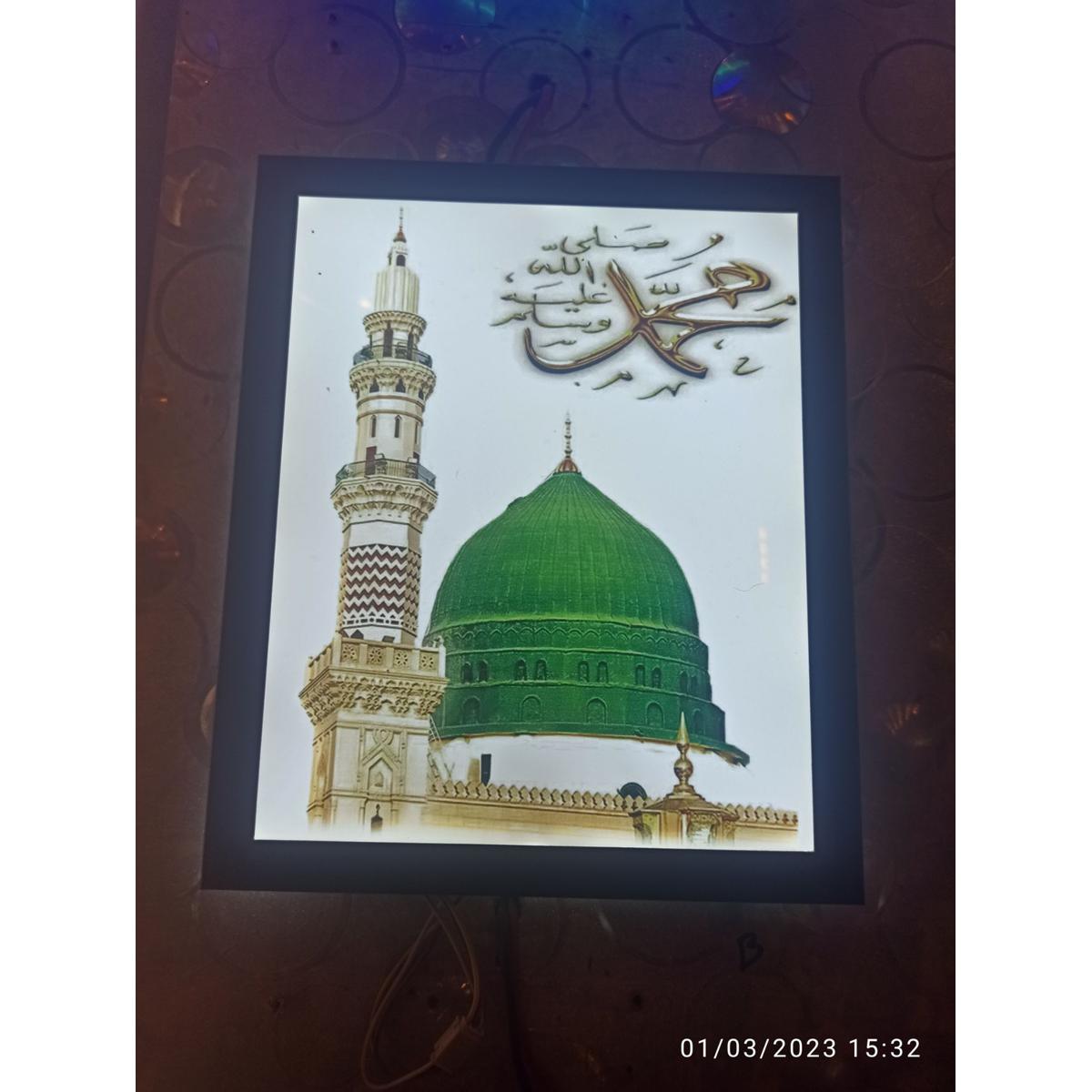 Madina Wall Light/Wall Climb Led Light/Multicolor