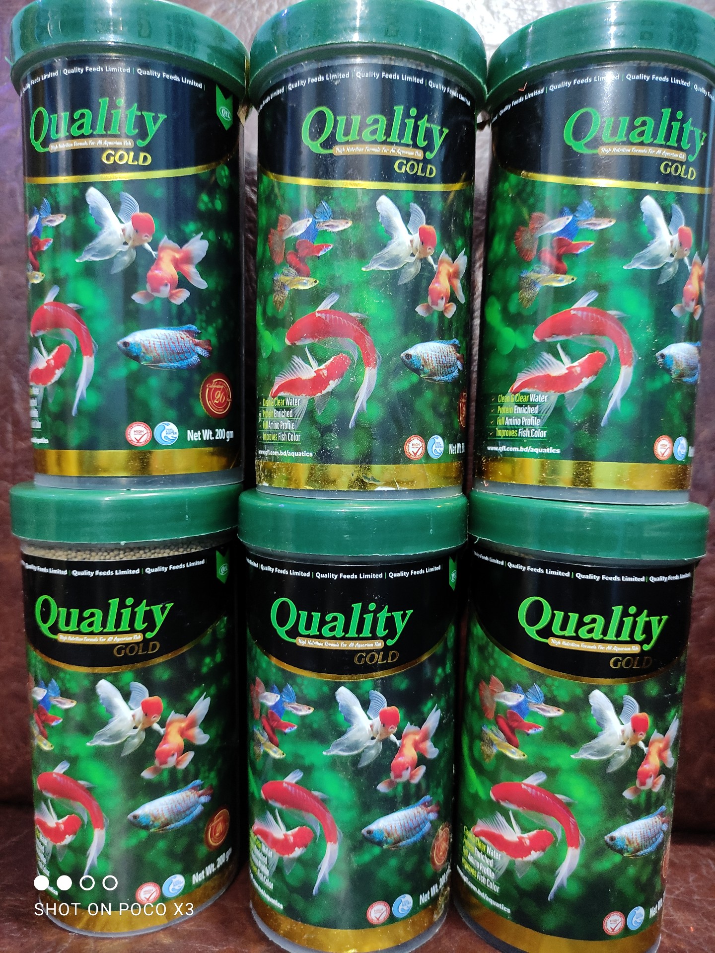 Total Critical Melodious Quality Aquatics Pet Shop Catch Abroad Partina City