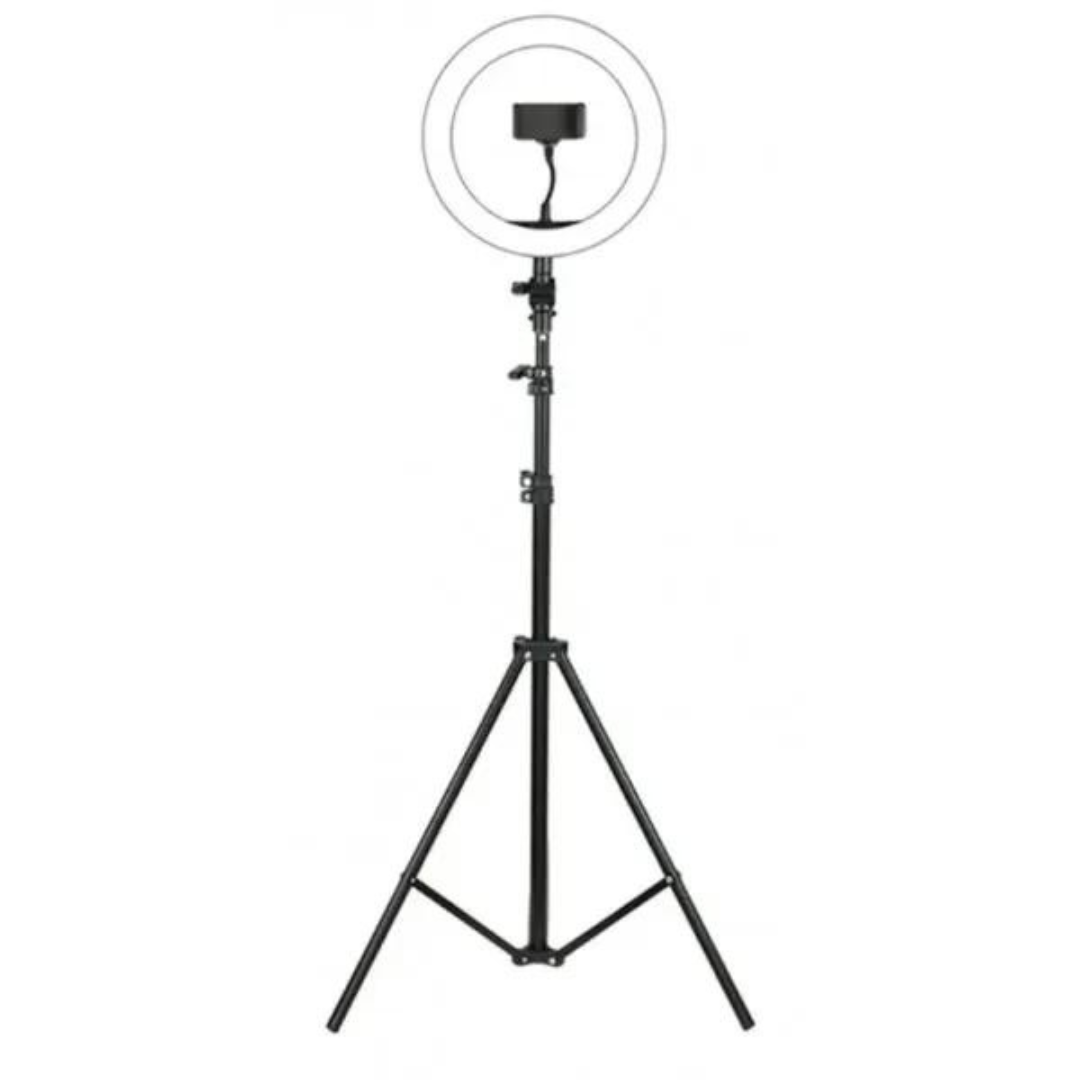 Ring lights of 14 inches with many color  with stand.. 