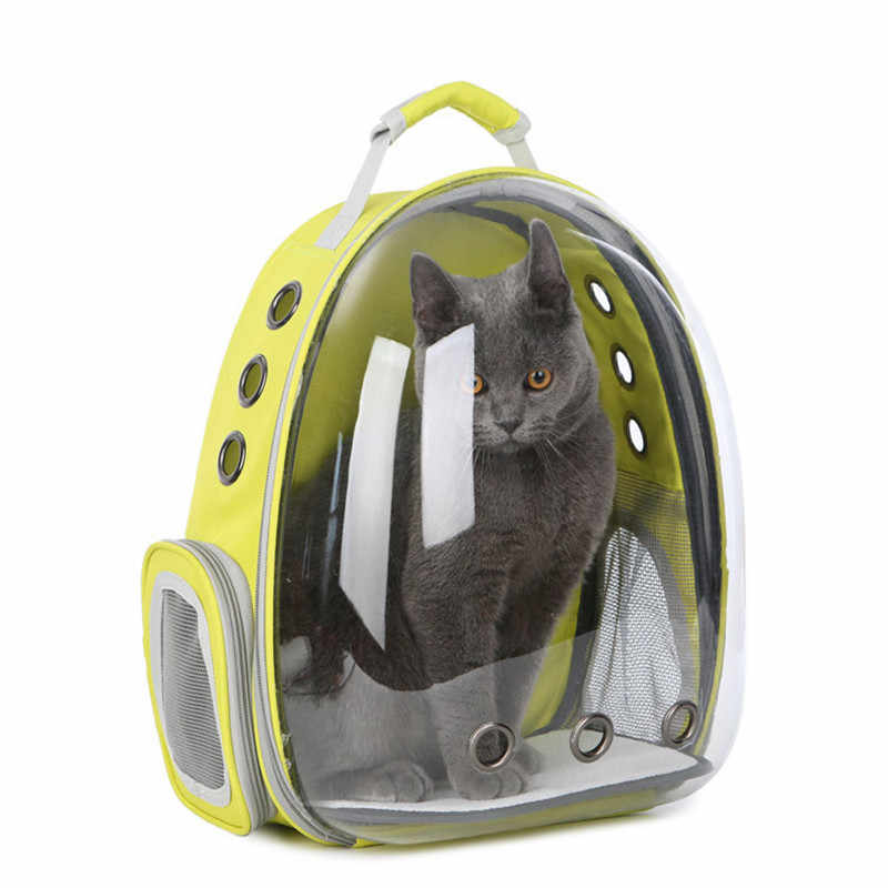 a cat bag