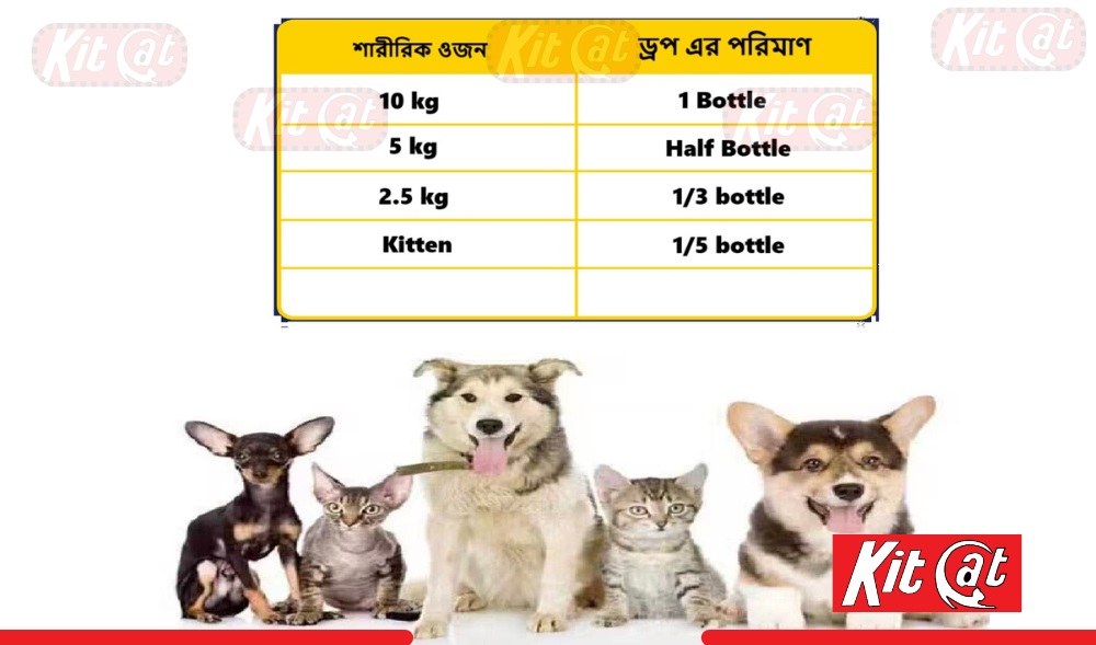 Spot on for Dogs, flea and tick treatment, China Spoton flea and tick drops. 