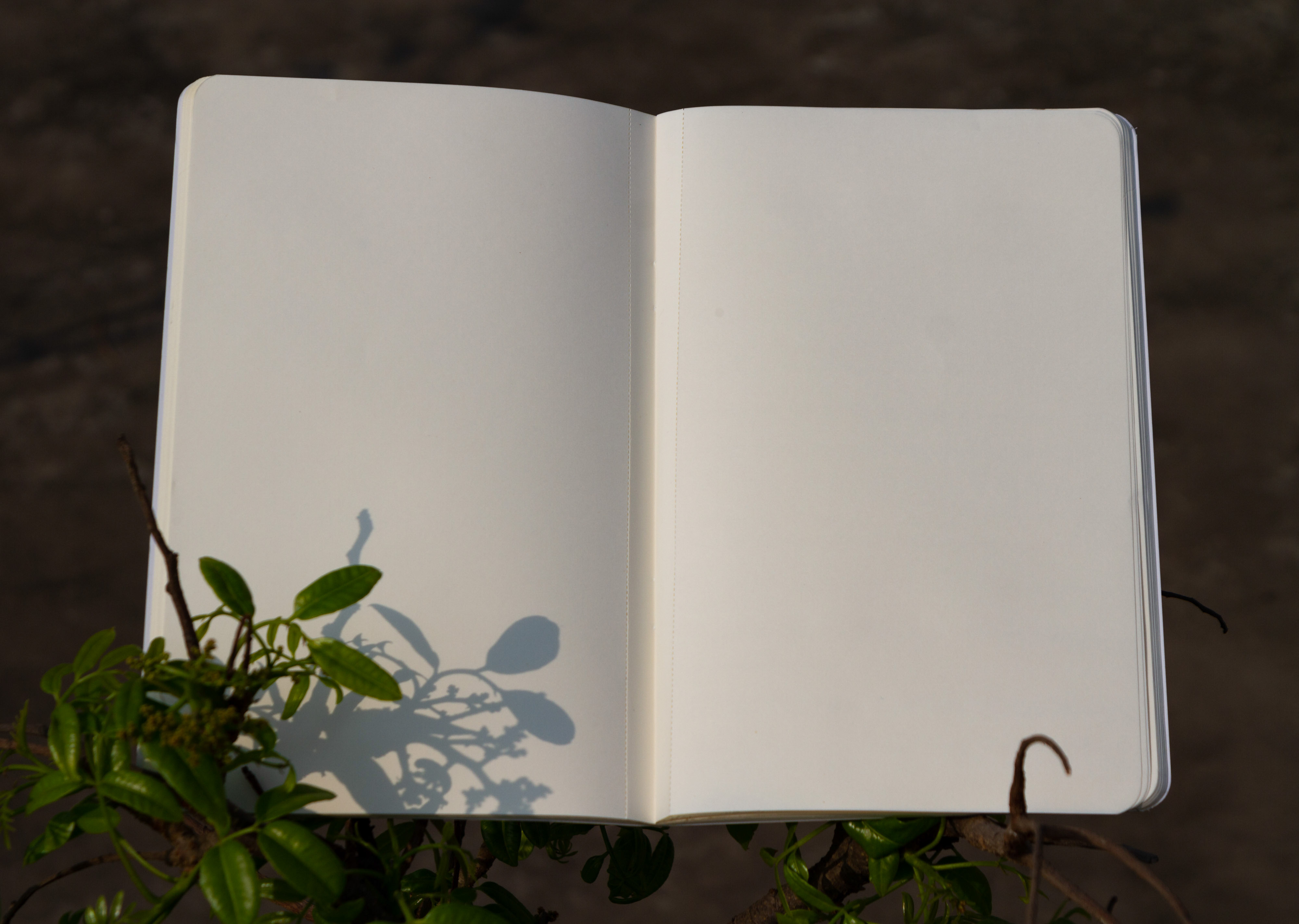 Hawa Notebook with 2-Badge (SN202207168). 