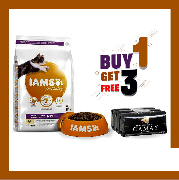 iams vitality kitten