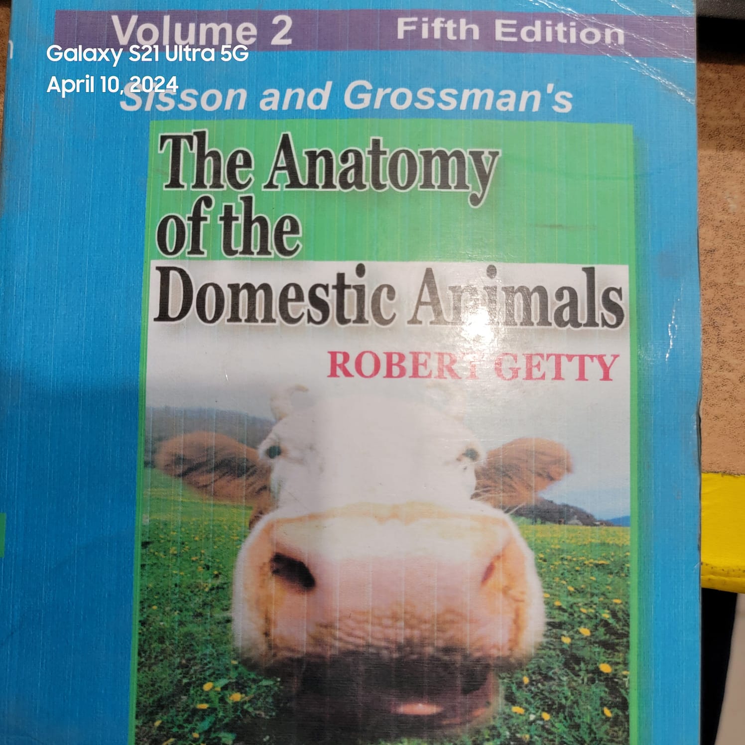 Sisson and Grossman's the Anatomy of the Domestic Animals By  Robert Getty (Volume 2)