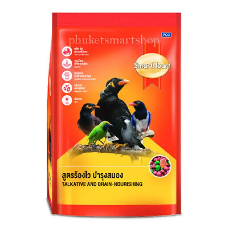 Mynah bird 2024 food supplies