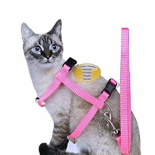 Collar And Leash Garden Grove Ca Cat Collar And Leash WaggyTech