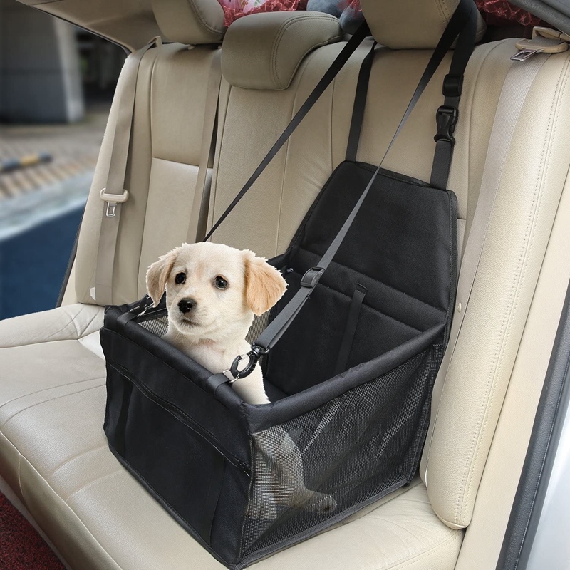 small dog car carrier