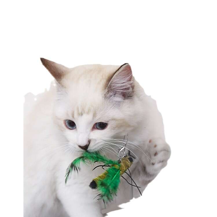 AFP Insect Pussy Stick Toys Self Hi Relieving Magic Tool Bite Resistant Replacement Pet Cat Supplies Complete Collection. 