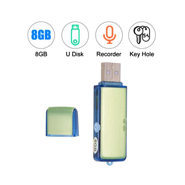 Voice Recorder with 8GB USB Flash Drive and Built-in Audio Storage. 