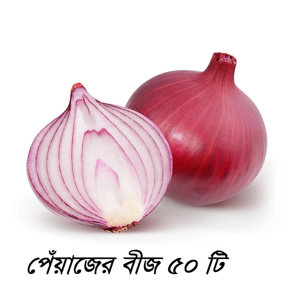 Onion Seed -পেঁয়াজের বীজ - ৫০পিচ
