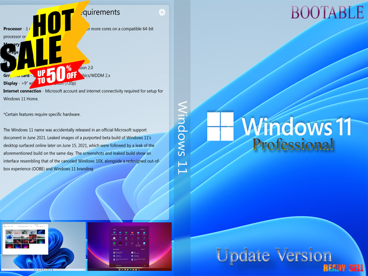 Windows 11 ((Professional Disk)). 