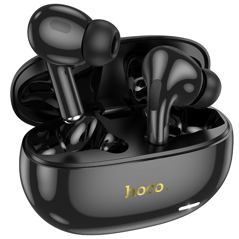 Hoco EW60 Plus Norman True Wireless Bluetooth ANC Earphone Bluetooth 5.3 Headphones TWS Earbuds With Microphone Music Earphones for Android ISO. 