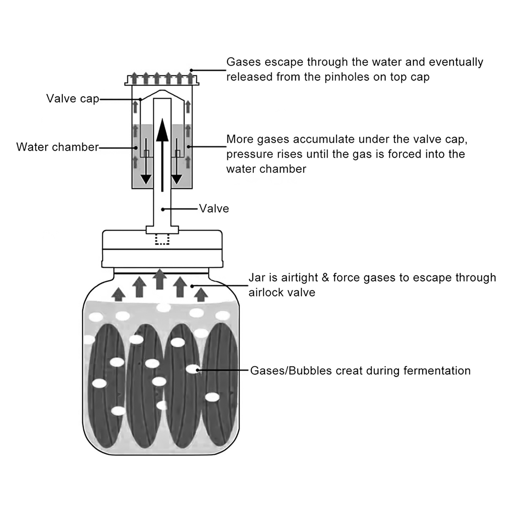 Airlocks for Wide Mouth Mason Fermenting Lids for Making Sauerkraut. 