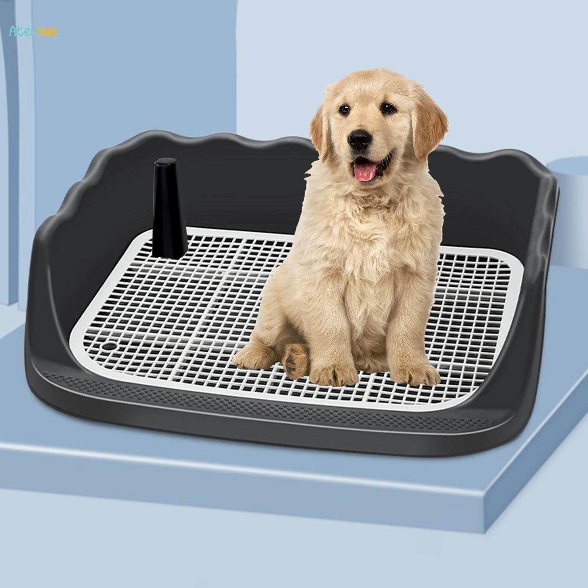 Indoor Dog Difficulty Potty Training Puppy Dog Litter Box Dog