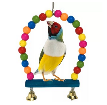 bird swing toy