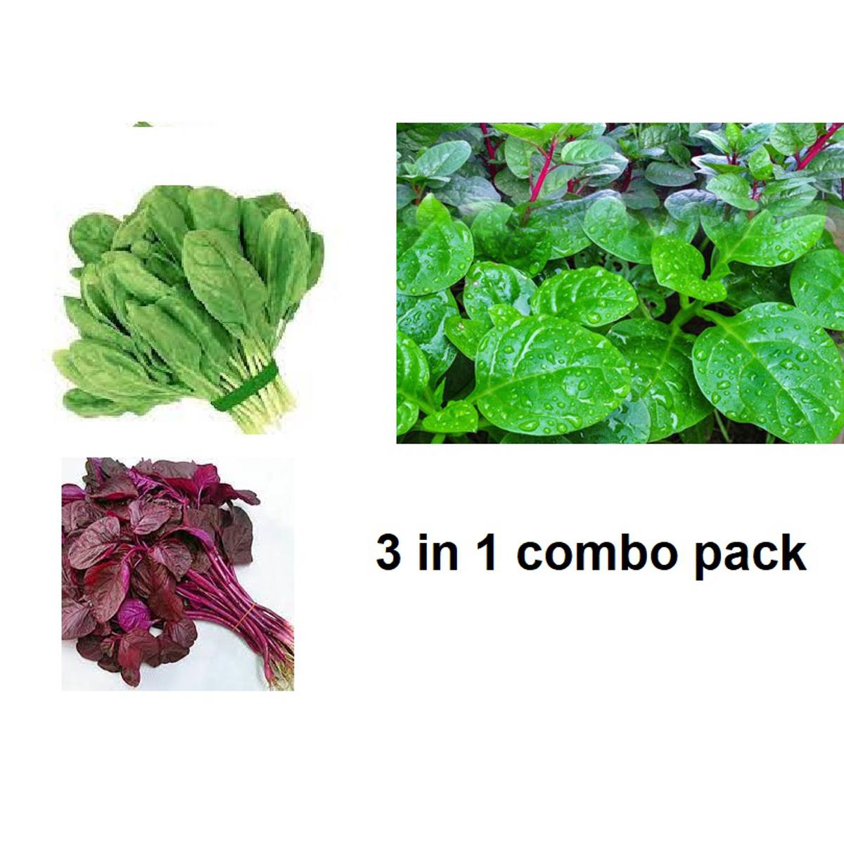 lalshak 10 gm + puishak 10 gm + palong shak  10 gm seeds combo pack